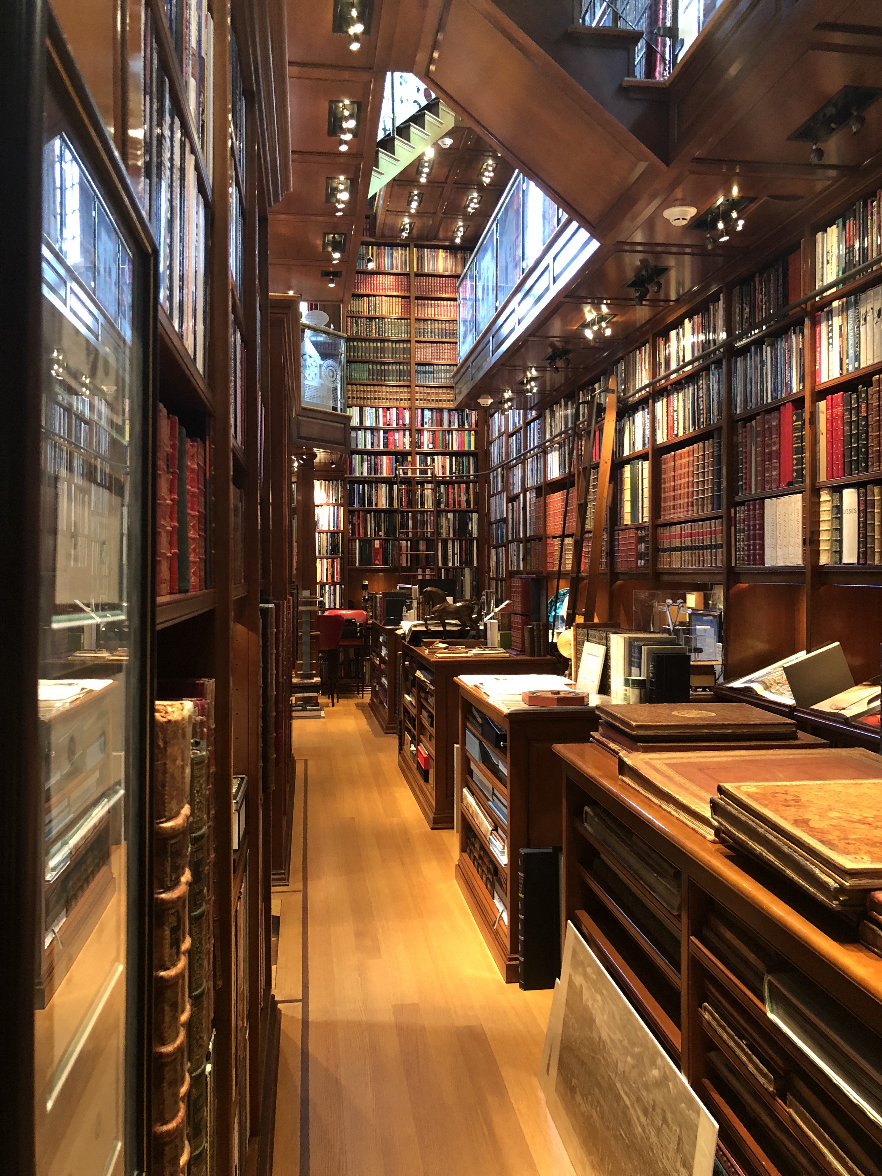 A Visit to "The Walker Library of The History of Human Imagination"